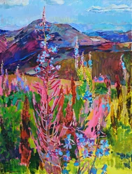 Färgsprakande bergsblommor