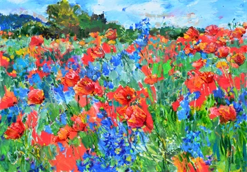 Ett färgsprakande vallmofält