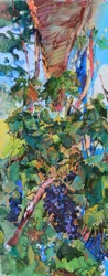 Färgglada sommardruvor