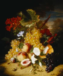 Persikor, vindruvor, en melon, konvulvuli och andra blommor i ett landskap,