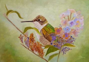 Färgglad kolibri-trädgård