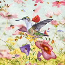 Kolibri bland blommor