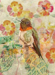 Kolibri och blommor
