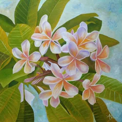 Mjuka plumeria-blommor
