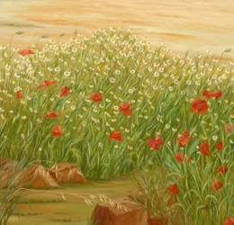 Sommarpoppies – ett fält med prästkragar