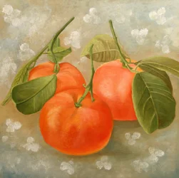 Stilleben i livfull orange
