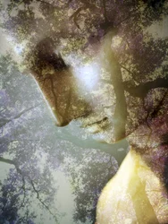 Ethereal Forest – profil