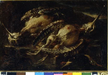 Stilleben av fåglar. Målning av Angelo Maria Crivellone (? - 1730/60?). Milano, CRA.