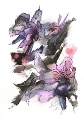 Stämningsfull blomsterskiss