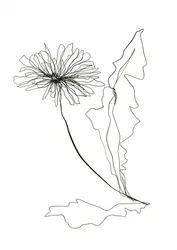 Teckning av maskros