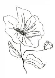 Skiss av en ömtålig blomma