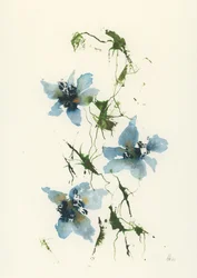 Blå akvarellblommor
