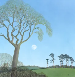 Early Moon, 2007