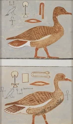 Kopia av väggmålning från en privat grav av Kaemankh, III, 1, 132, Giza, gäss, 1900-talet