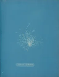 Transparent keramik, ca. 1853