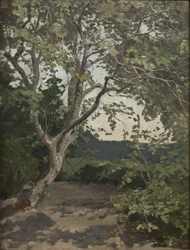 En trädstudie (olja på papper)