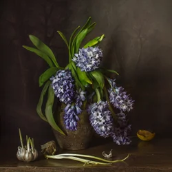 Rustika hyacinter och vitlök