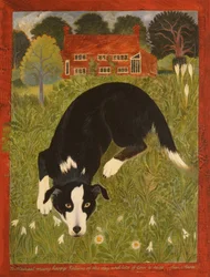Collie hund (akryl)