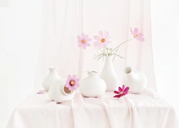 Stilleben med rosenskära i rosa toner