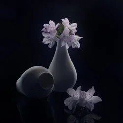 Stämningsfulla blommor och vaser