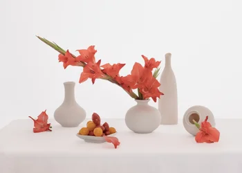 Stilleben med orange gladiolus