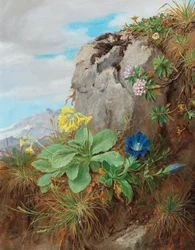 Alpina blommor