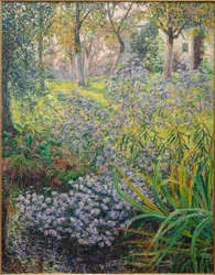 Blommor i trädgården