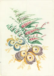Fantastiska blommor med ostronskalsblommor, ca. 1795.