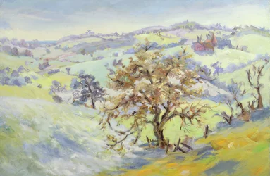 Från Udimore mot Peasmarch, Sussex, på vintern