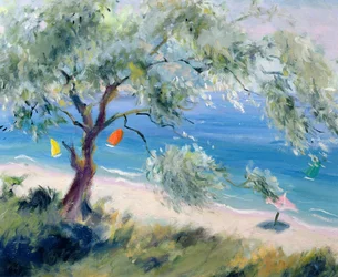 Looking on to a beach 