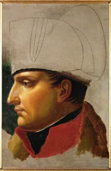 Kejsar Napoleon I (olja på duk)