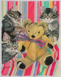 Kattungar och nalle