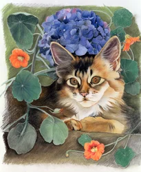 Sotaktig med hortensia