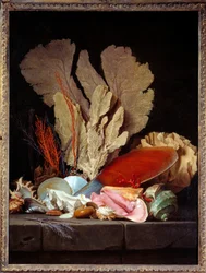 Havet Panaches Stilleben med snäckor. Målning av Anne Vallayer Coster (1744-1818) 1769 sön. 1,3x0,97 m