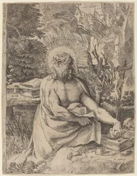Saint Hieronymus i vildmarken