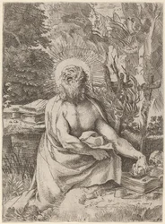 Saint Hieronymus i vildmarken