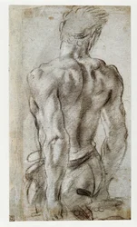 Studie av en manlig figur ...