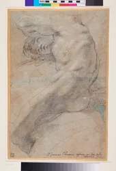 Studie av en naken man, ca 1560-1609 (svartvita kritor på blågrått papper)
