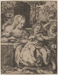 Svalans Madonna