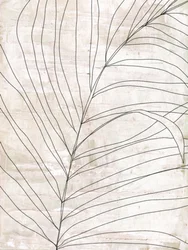 Minimalistiska botaniska linjer