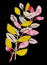 Rosa och gult botaniskt collage