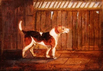 En Hund