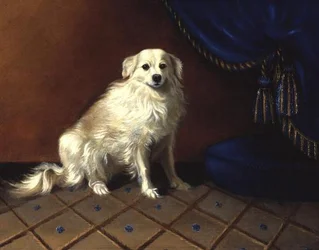 En leksakshund