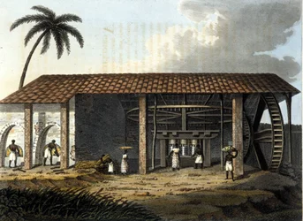 Brasilien, sockerfabrik - i "" The Old and Modern Costume"" 1819 - 1820 av Dr Jules Ferrario, ed Milan.