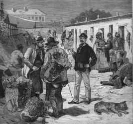 Trasplockarnas stad i Clichy, Paris. Gravyr i "" Le petit parisien"" den 7/08/1892. Privat samling