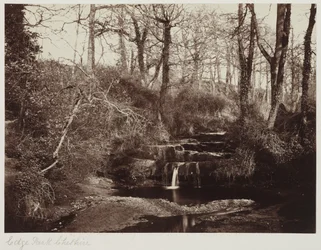 Edge Park, Cheshire, ca 1865 (albumenutskrift från glasnegativ)