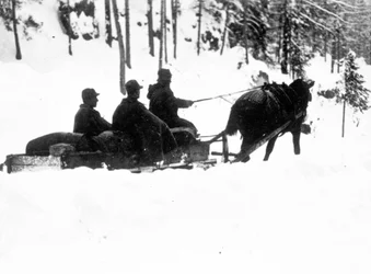 Första världskriget, Carso Front: Italienska alpina jägare (alpino eller alpini) som bär mat på slädar