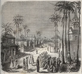 Forcats kommer att arbeta på fängelset Saint-Laurent (Saint-Laurent) i Cayenne (Franska Guyana) på 1800-talet. Gravyr i "Historia om fängelserna från deras tillkomst till våra dagar" (1877) av Pierre Zaccone (1817-1895) (Colonia Penale - Straffkoloni)