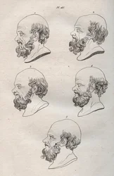 Physiognomy - Physiognomony - Flera chefer för den grekiske filosofen Sokrates (ca 469 f.Kr.-399 f.Kr.) (Byst av Sokrates (ca 469 f.Kr.-399 f.Kr.), atensk filosof) gravyr från 1808 i "Konsten att känna människor genom fysiognomi" Johann Gaspar (Gaspard) La