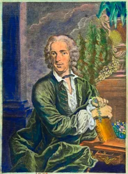 Porträtt av Carl Von Linne (1707-1778) svensk naturforskare - Privésamling